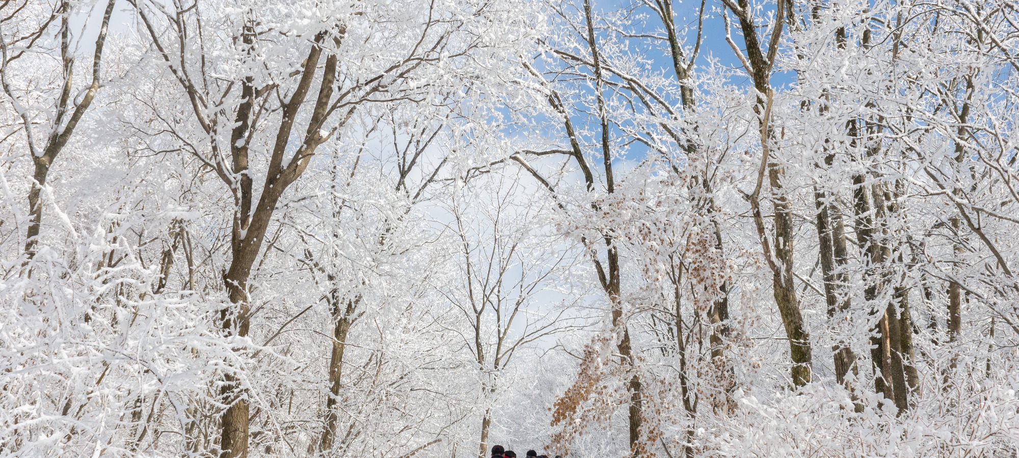 Mt Seorak on Mt. Seorak + Naksansa Temple One Day Tour