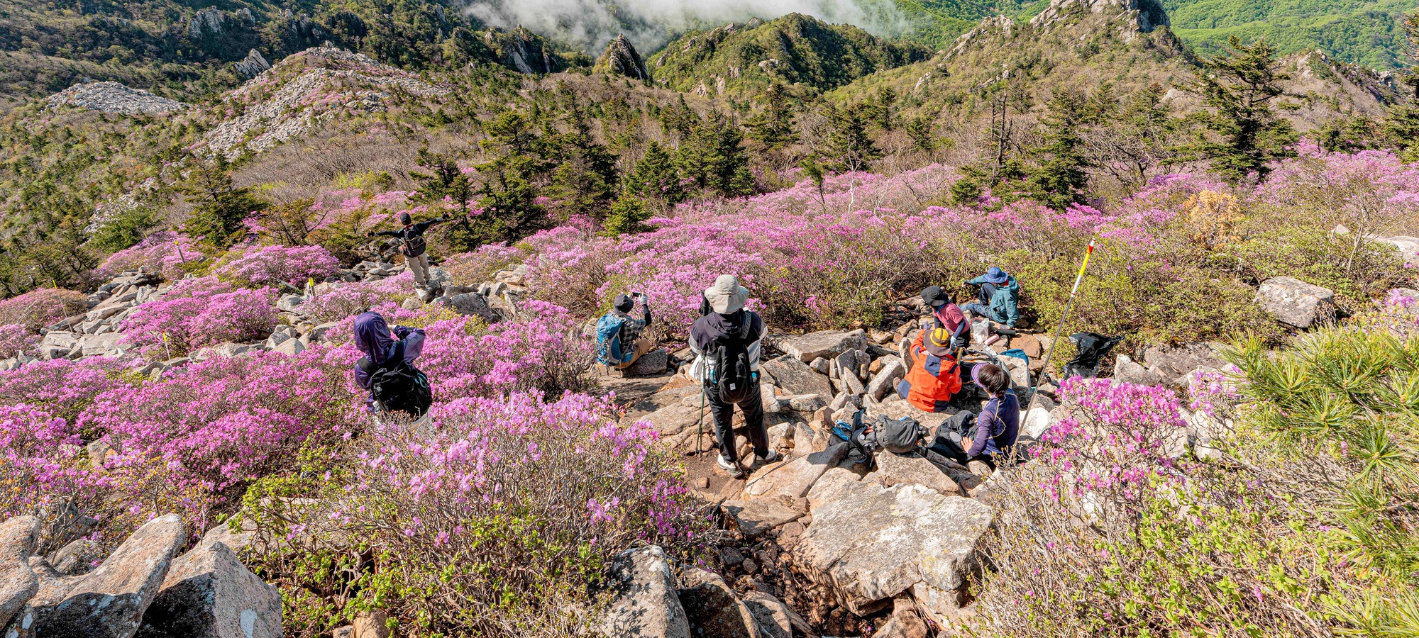 Mt Seorak on Mt. Seorak + Naksansa Temple One Day Tour