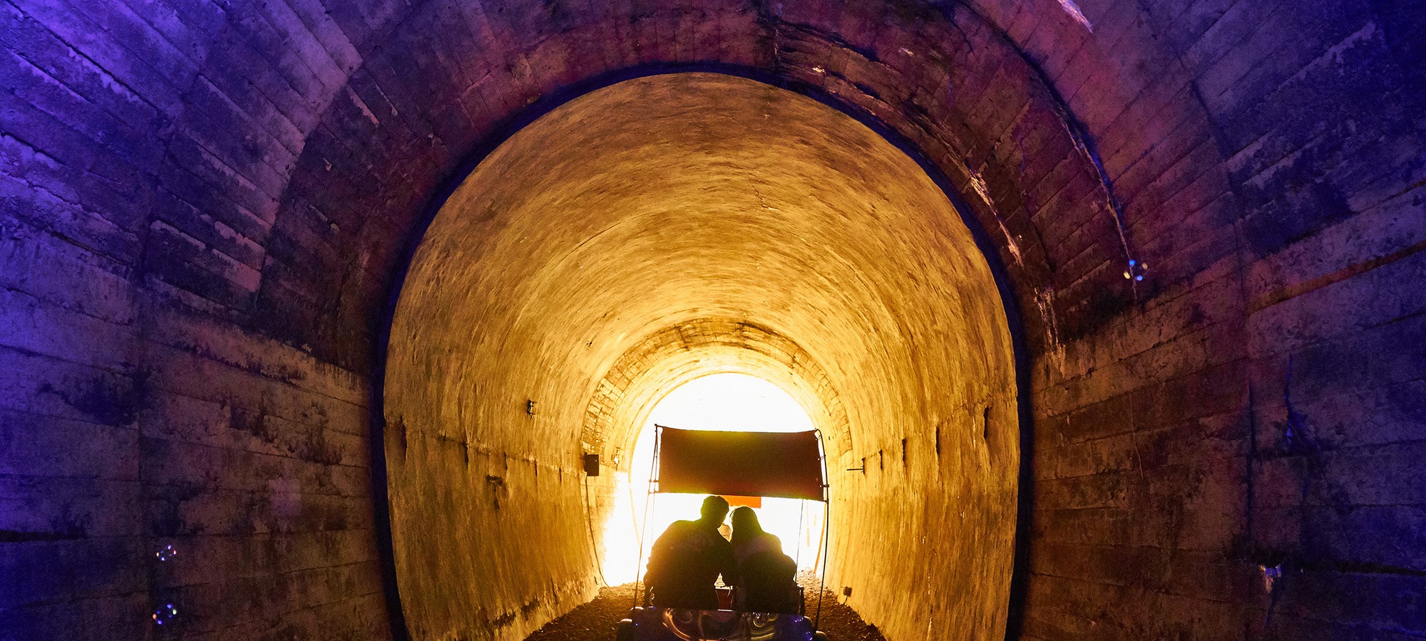 Gangchon Rail Bike on Alpaca World + Nami Island + Gangchon Railbike One Day Tour