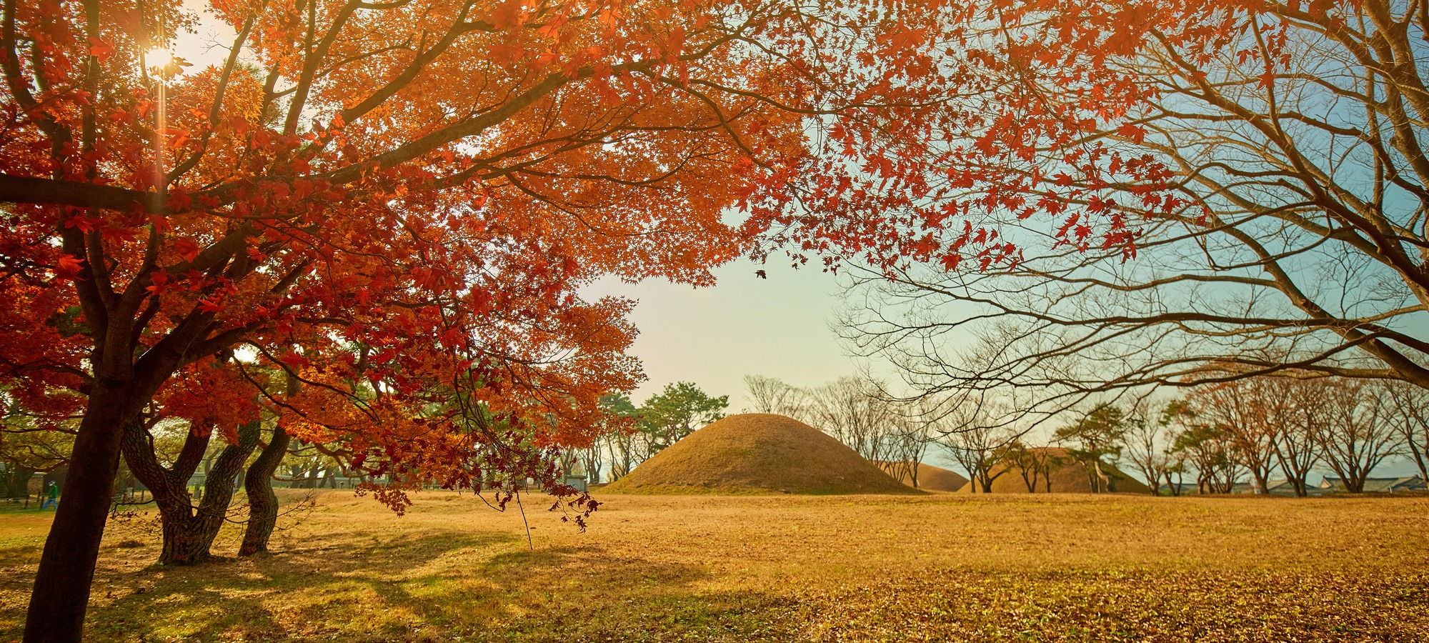 Daereungwon tomb landscape in Gyeongju