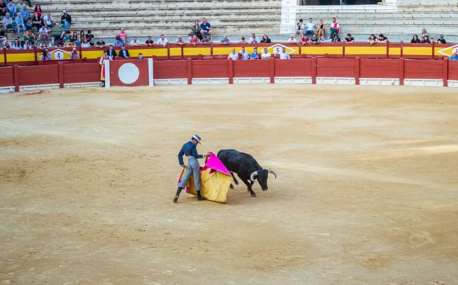 Representative image related to Traditional sport in Korea
