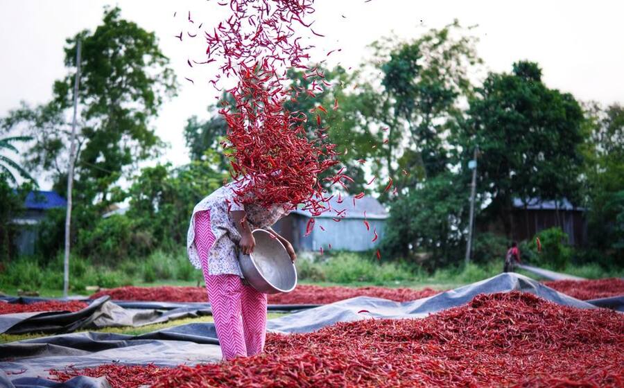 Representative image related to Agricultural festival in Korea