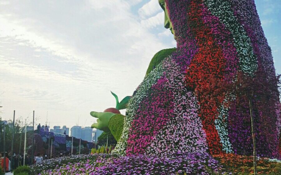International Horticulture Goyang Korea in Gyeonggi Province