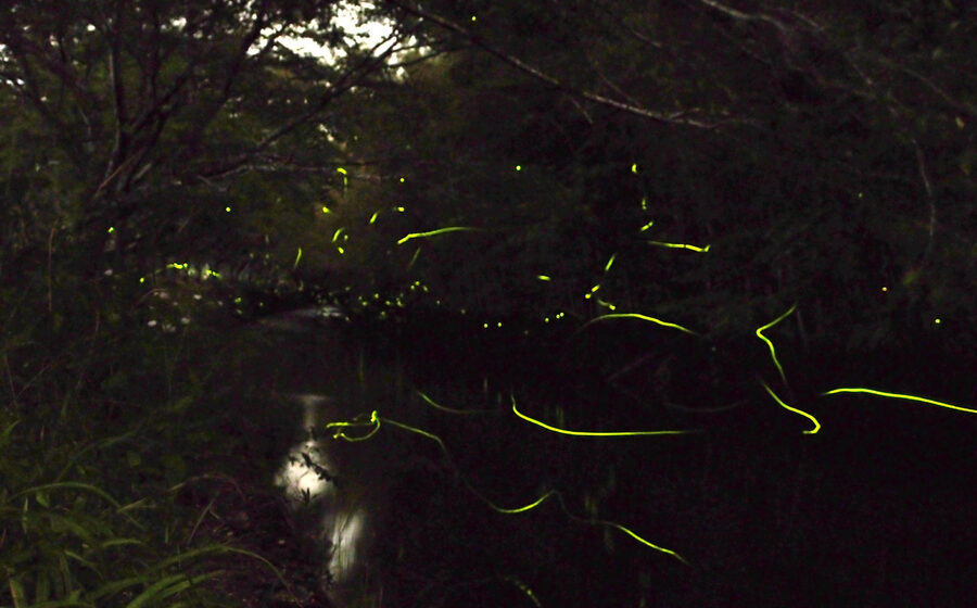 Representative image related to Nature night in Korea