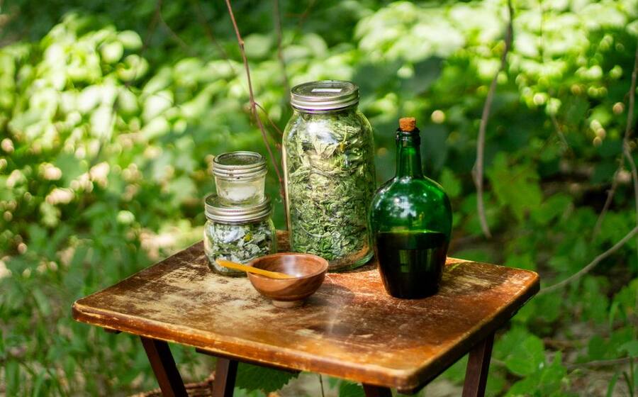 Representative image related to Herbs and wellness in Korea