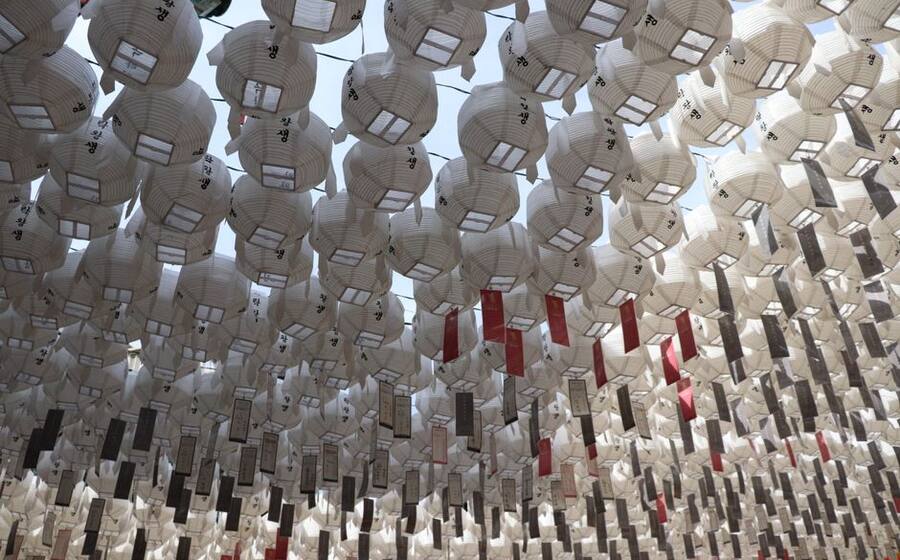 Representative image related to Seafood festival in Korea