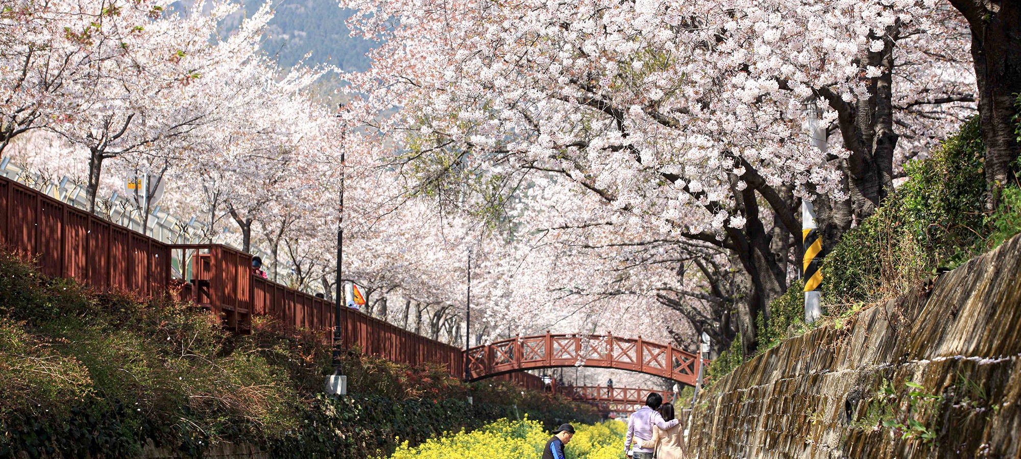 Seasonal festival walking route in Korea
